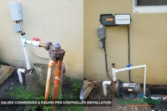 RACHIO BEFORE AND AFTER