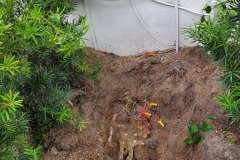 SprinklerSavings.com