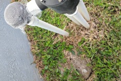 3 zone valve conversion