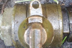 IMG-20200401-WA0060