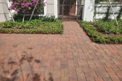 Paver Power Wash and Seal