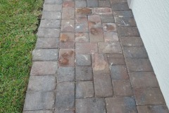 Paver Power Wash and Seal