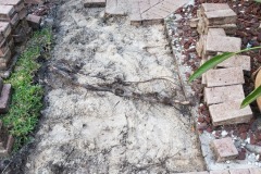 Brick and Stone Repair