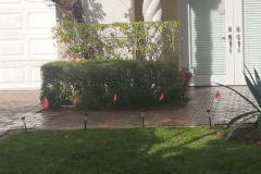 JPEG_20200103_144553_164070336089742