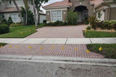 JPEG_20190710_143400_140178713219729