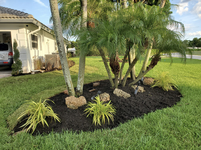 Landscaping Coral Springs