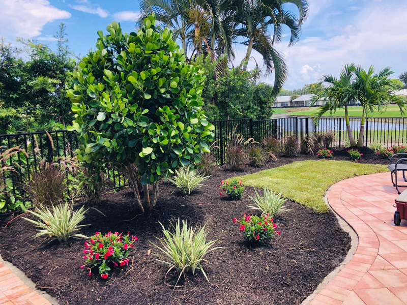 Landscaping Coral Springs