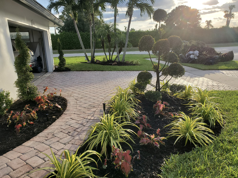 Landscaping Coral Springs