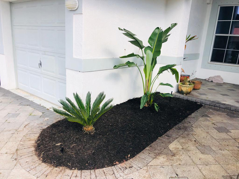 New Landscaping Coral Springs