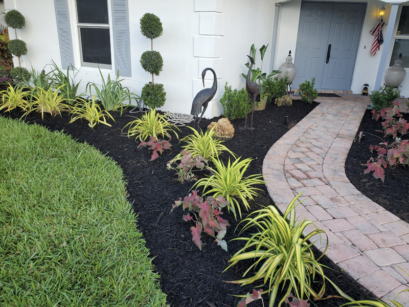 Landscaping Coral Springs