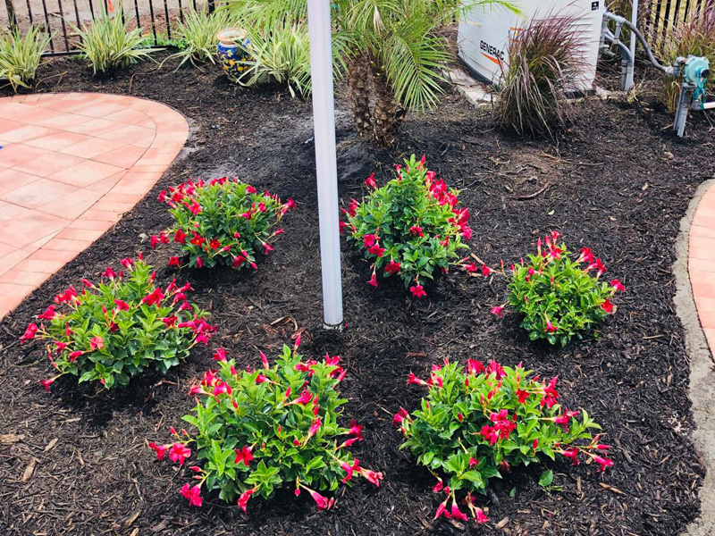 Landscaping Coral Springs